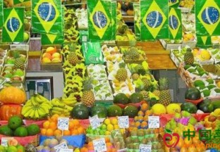 巴西大力推动水果出口 ()