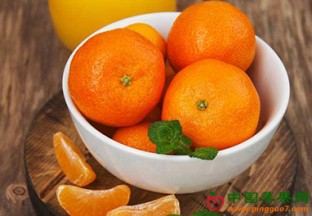 湖北宜昌：夷陵柑橘产业吸引全国目光 ()