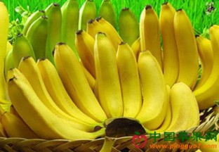 广西香蕉产量大幅减少 ()