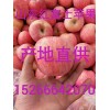 2018年紅富士蘋果產(chǎn)地價(jià)格，紅富士蘋果批發(fā)