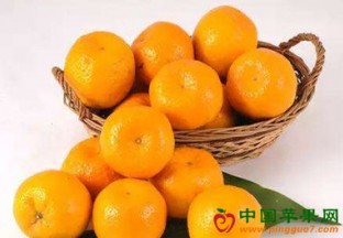 江苏徐州：橘子丰收价格便宜 ()