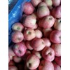 山東沂源縣紙袋紅富士