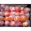 15653130528山东产地大量供应膜袋富士苹果