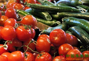 山东平度：推进西红柿产业继续发展 ()