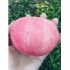 棲霞蘋果