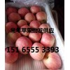 冷庫紅富士蘋果大量供應(yīng)