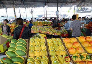 首届海南热带水果产业博览会即将举行 ()