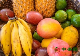 安徽合肥：时令水果销量猛增 ()