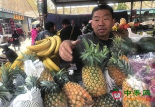 山东德州：菠萝走俏市场 ()