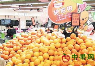湖南长沙： 一年四季吃柑橘已成现实 ()