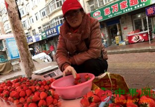 山东烟台：地产草莓卖出高价 ()