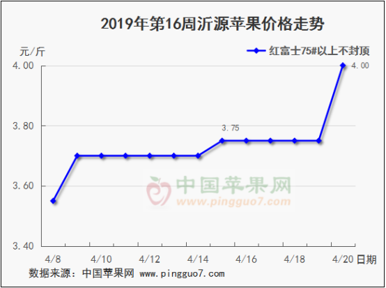 2019年第16周苹果行情分析预测561