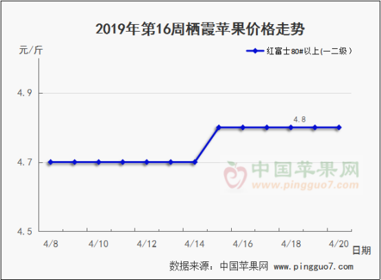 2019年第16周苹果行情分析预测425