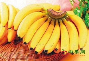 中国成菲律宾香蕉最大进口国 ()