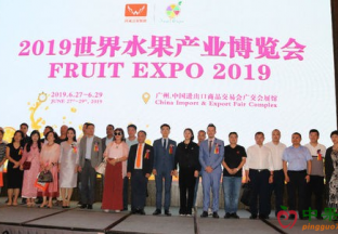 广东广州：2019世界水果产业博览会新闻发布会正式举行 ()