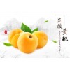 炎陵黃桃：一款夏日必備的解暑水果！