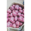 出售花牛蘋果