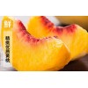 炎陵高山黃桃一件代發