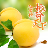 請不要問我我的黃桃有多甜