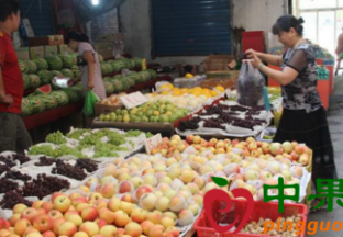 北京通州区：水果价格下调趋势明显 ()