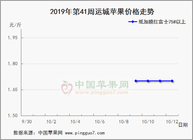 图片555