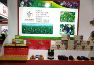 合阳水果亮相中国·陕西（洛川）国际苹果博览会 ()
