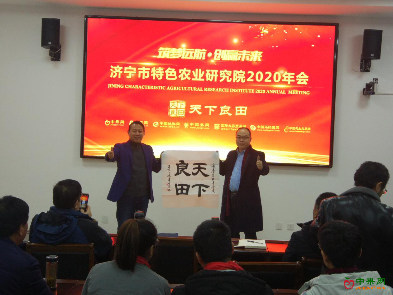 图片12