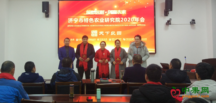 图片8