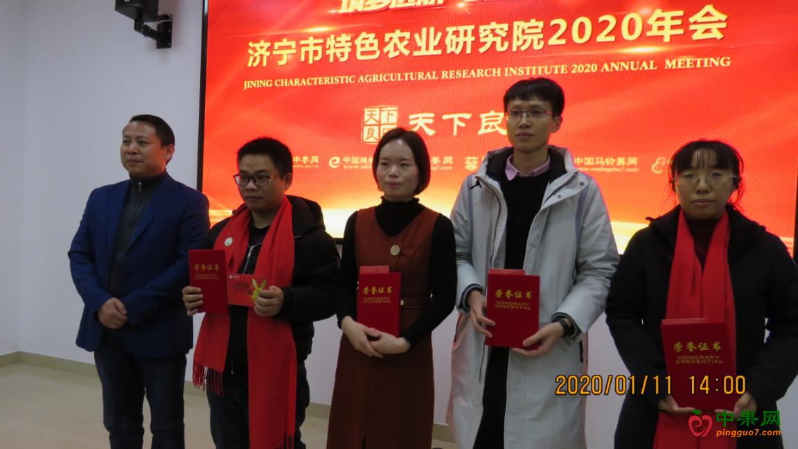图片7