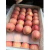 冷庫紅富士蘋果 甜脆蘋果 陜西紅富士 紅富士蘋果產地直銷