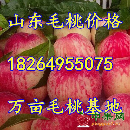 255335073_20150624085549_副本_副本
