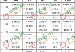 果農套袋農忙 周內降雨增多 ()