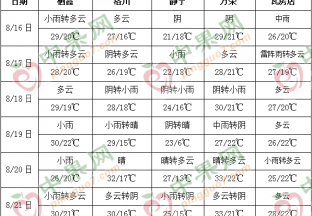 周內產區雨水增多 影響早熟蘋果交易 ()