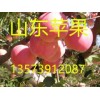 山東蘋果產(chǎn)地紅星蘋果價格紅將軍蘋果批發(fā)