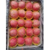 陕西红富士苹果基地，优质红富士苹果价格走势