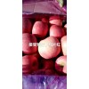 本人大量供應(yīng)紅富士