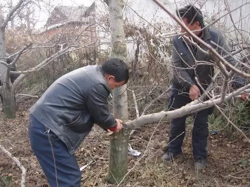 图片 5