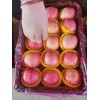 元旦來臨陜西紅富士蘋果價格走勢