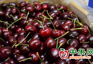 南京市场：元旦假期 进口水果消费增多 ()