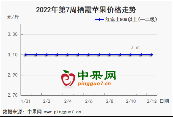 图片 15