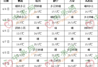 产区天气晴朗 苹果花即将开放 ()