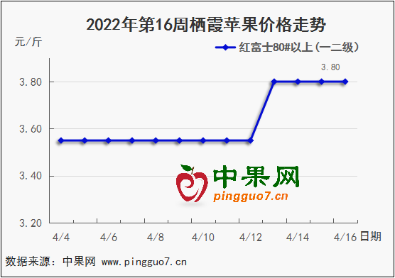 圖表 1