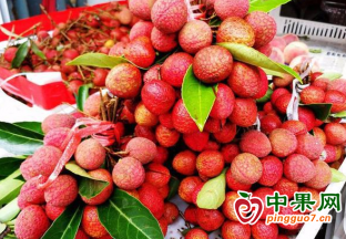 溫州：夏令水果上市 價格快速下跌 ()