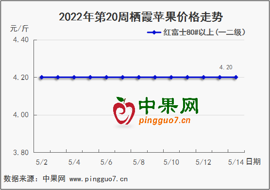 圖表 1