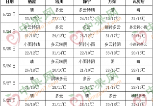 产区天气晴好 苹果套袋工作展开 ()