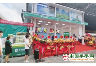 首個貴州精品水果展示銷售檔口在廣州江南市場開業 ()