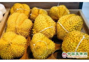 2022年東博會榴蓮節將在云上舉辦 ()