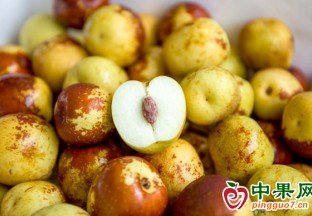合肥：冬棗上市  嘗鮮價不菲 ()