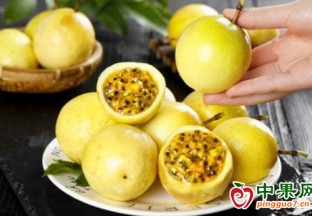 南寧武鳴區(qū)兩江鎮(zhèn):黃金百香果豐收 ()
