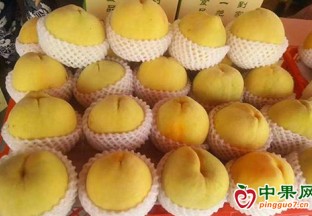 多產區黃桃集中上市 產量增加 ()